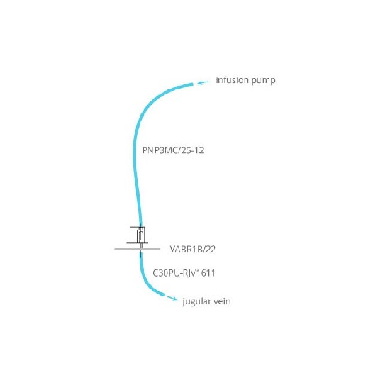 大鼠静脉间歇性灌流给药系统