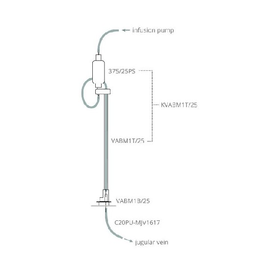 小鼠静脉持续性灌流给药系统