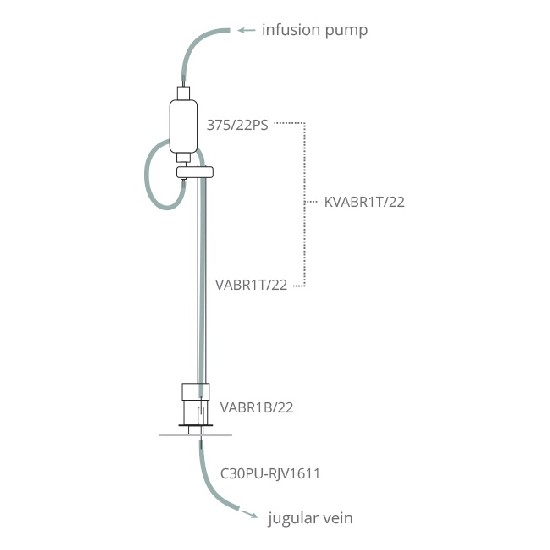 大鼠静脉持续性灌流给药系统