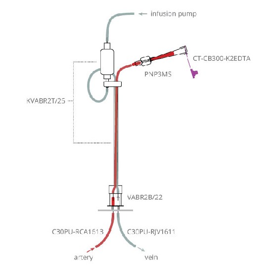 大鼠灌流给药+采血系统