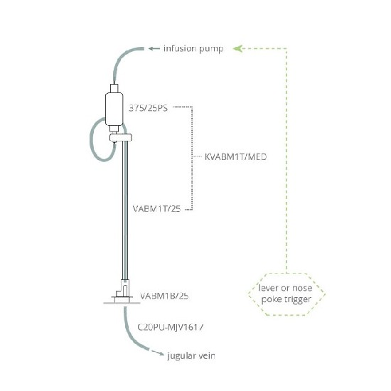 小鼠自主给药系统
