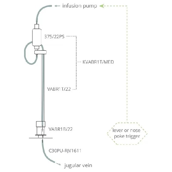 大鼠单通道自主给药系统