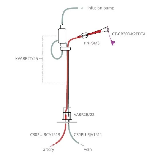 大鼠灌流给药+手动采血系统