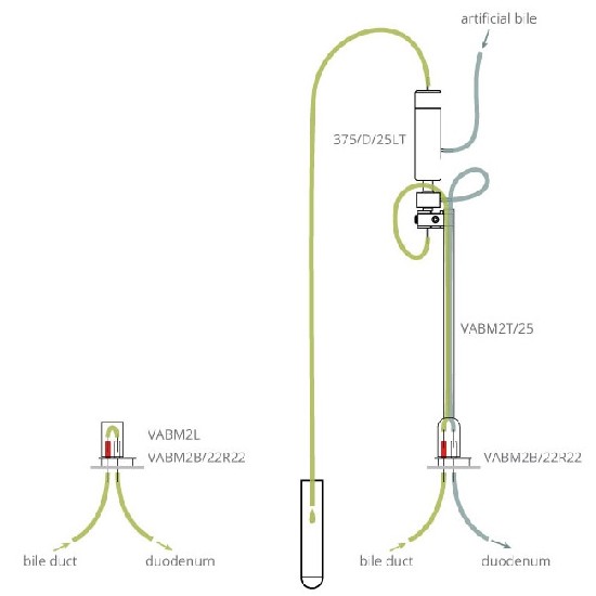 小鼠采胆汁实验