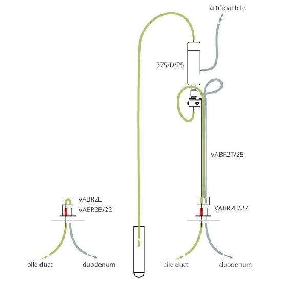 大鼠采胆汁系统（含盐溶液灌流）