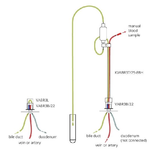 大鼠采胆汁+采血系统