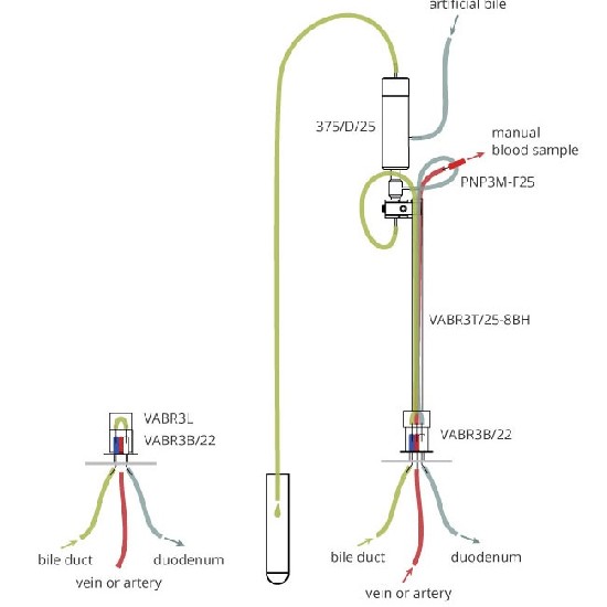大鼠采胆汁+采血+灌注给药系统
