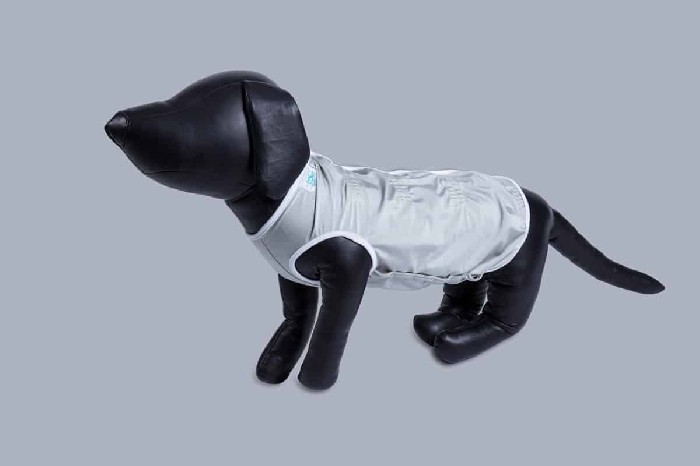 用于遥测的狗汗衫