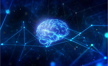 毛兰群：关于《脑神经化学分析与成像》专辑