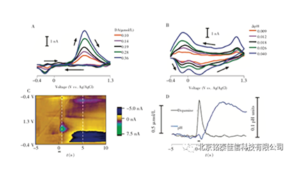 技术分享：脑神经化学活体原位电化学分析