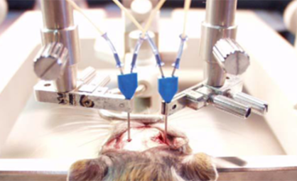 动物活体取样——脑部微透析采样技术(2)