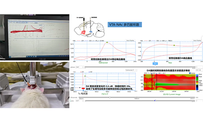 活体神经化学物质检测技术革命性突破