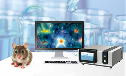 活体脑化学物质分析实验