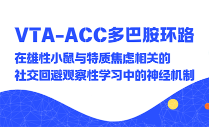 VTA-ACC多巴胺环路在雄性小鼠与特质焦虑相关的社交回避观察性学习中的神经机制