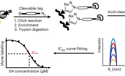 多巴胺修饰调控阿尔兹海默病Tau蛋白功能的关键作用