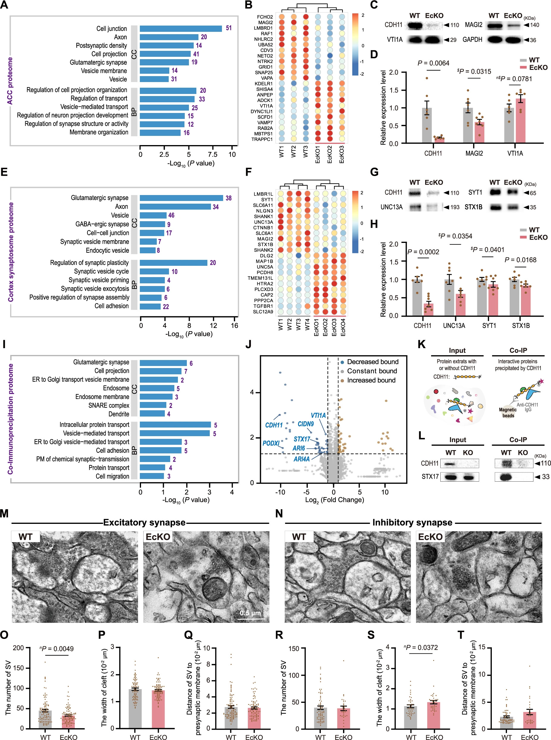 41380_2025_3141_Fig6_HTML 拷贝.jpg