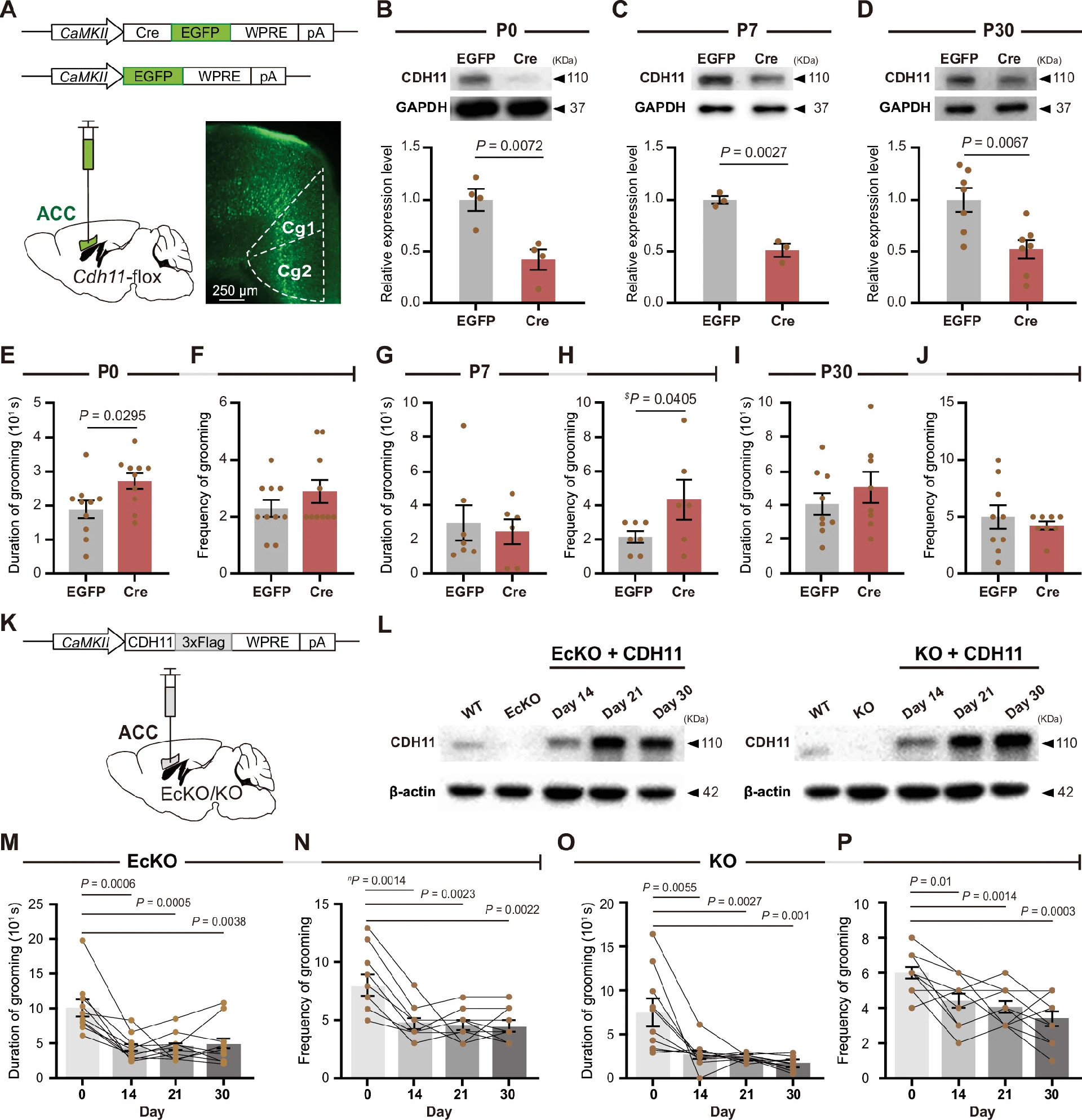 41380_2025_3141_Fig3_HTML 拷贝.jpg