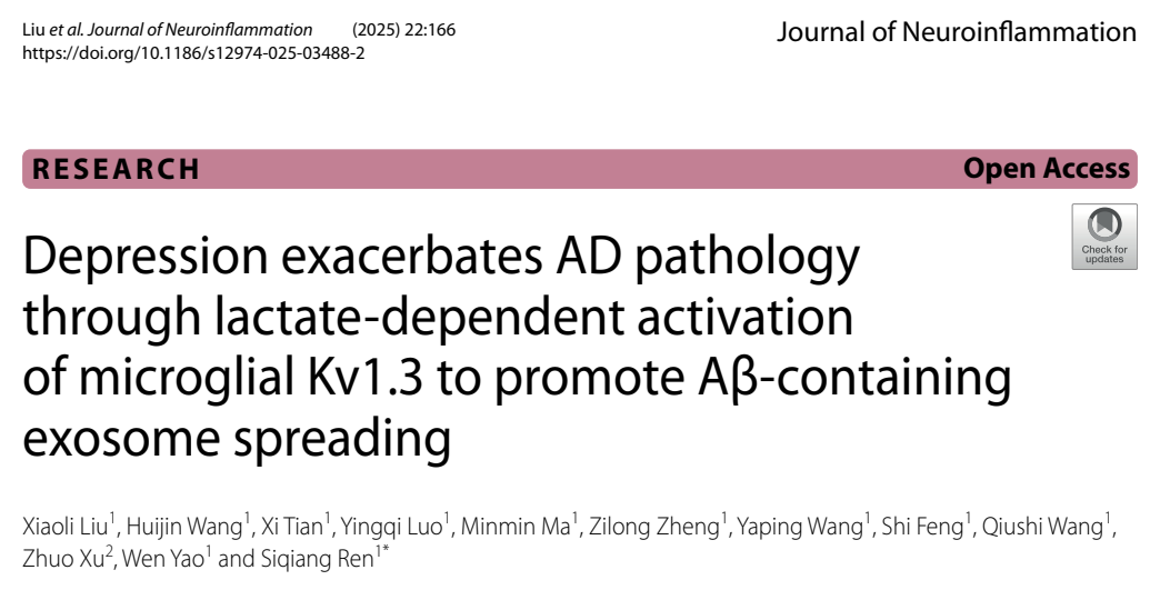 抑郁症通过乳酸依赖的小胶质细胞Kv1.3激活，促进含Aβ的外泌体扩散，从而加剧阿尔茨海默病病理