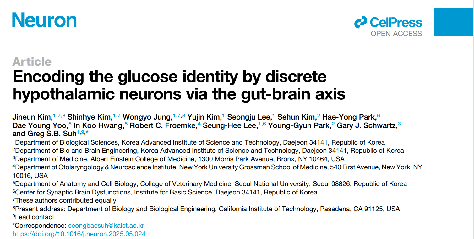 Neuron | 下丘脑特定神经元通过肠脑轴编码葡萄糖