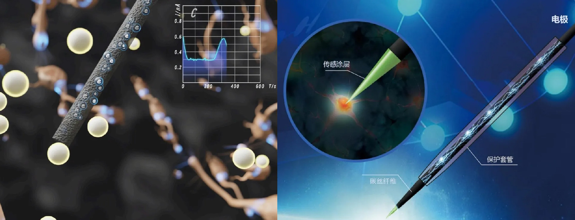 图片1(1) 拷贝.jpg