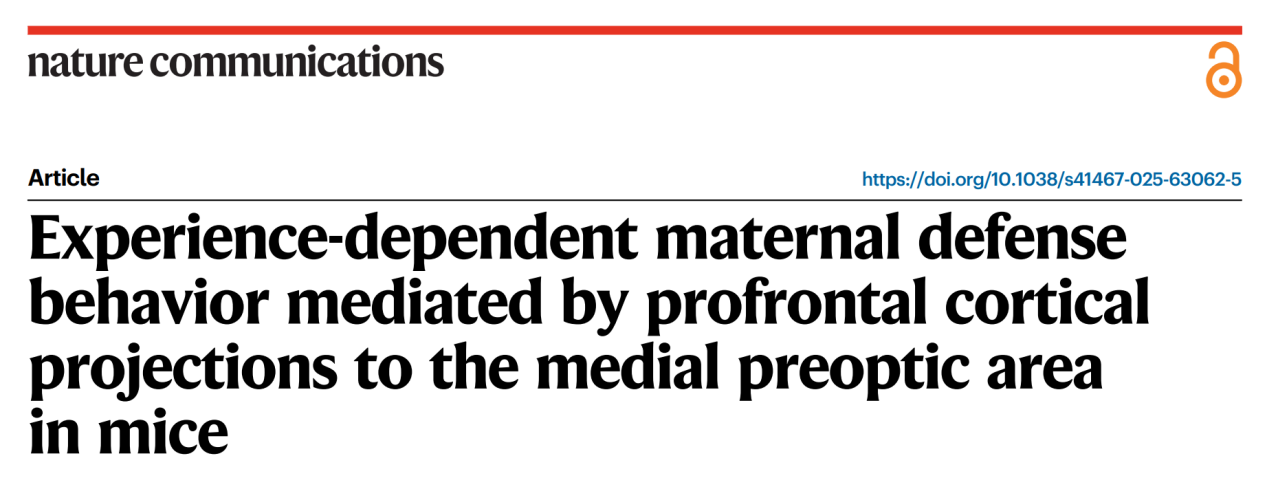 202601161079.png 图片1.png