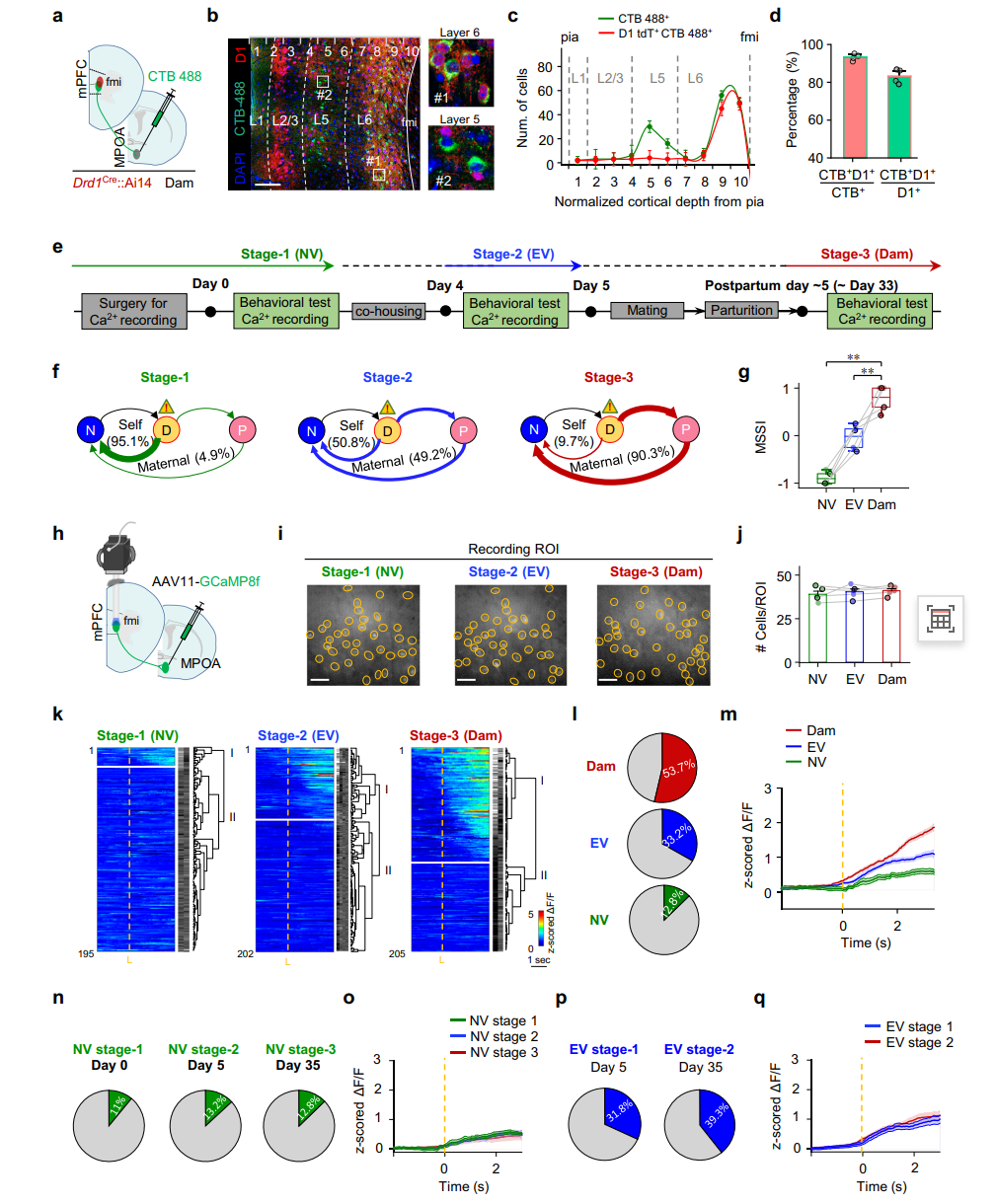 202601161281.png 图片9.png
