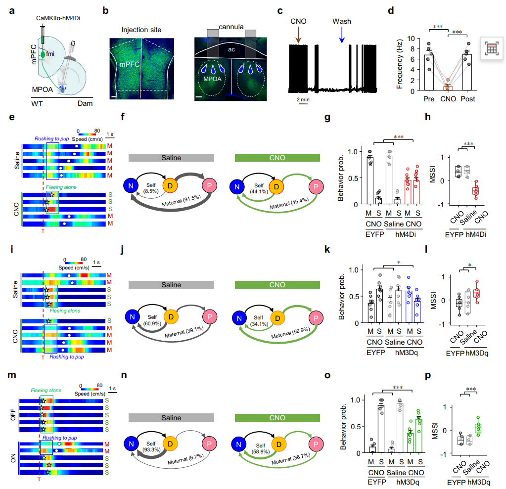 202601161593.png 图片6.png