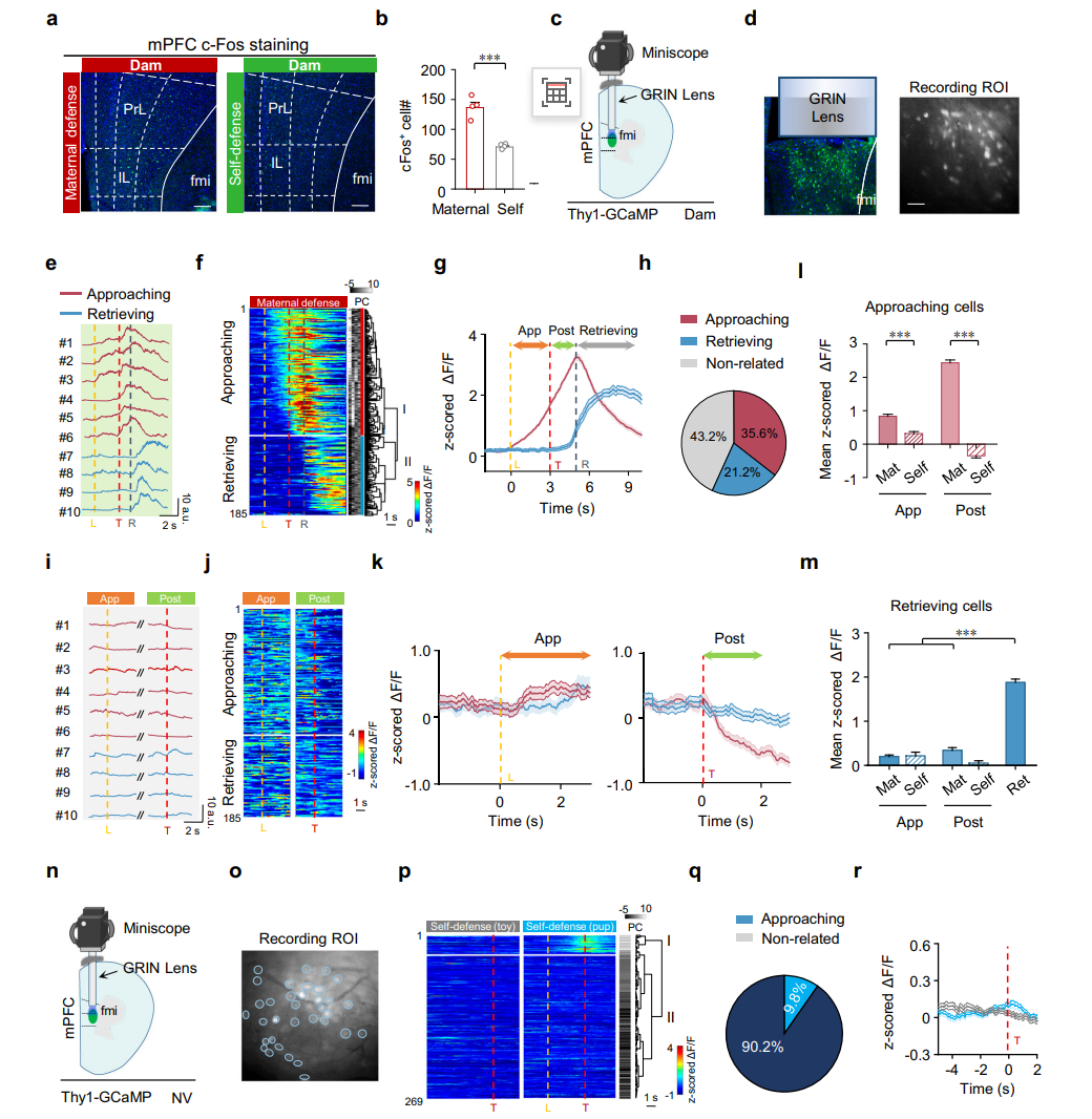 202601161620.png 图片3.png