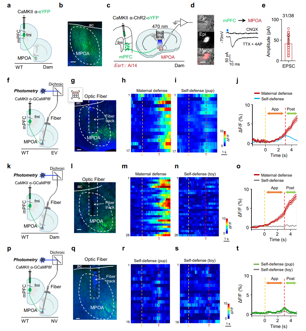 202601161769.png 图片5.png