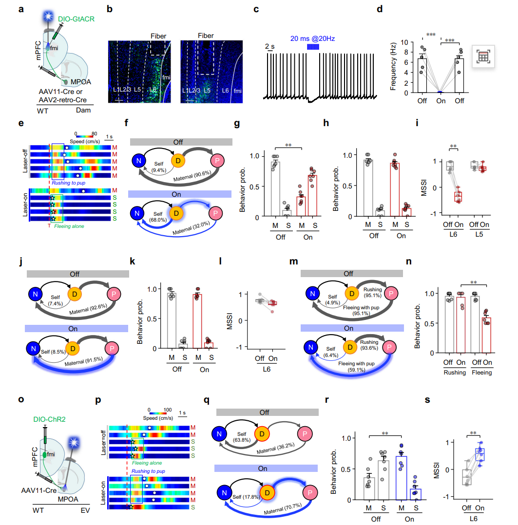 202601161935.png 图片8.png