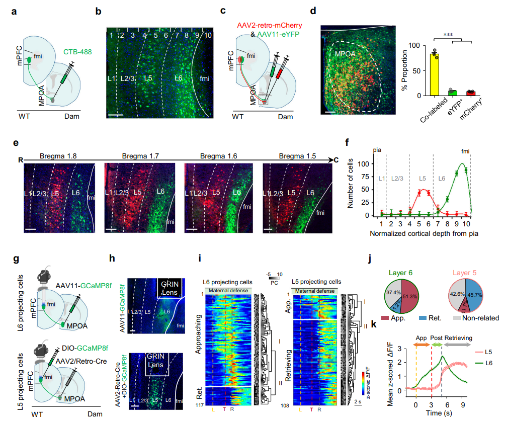 202601161980.png 图片7.png