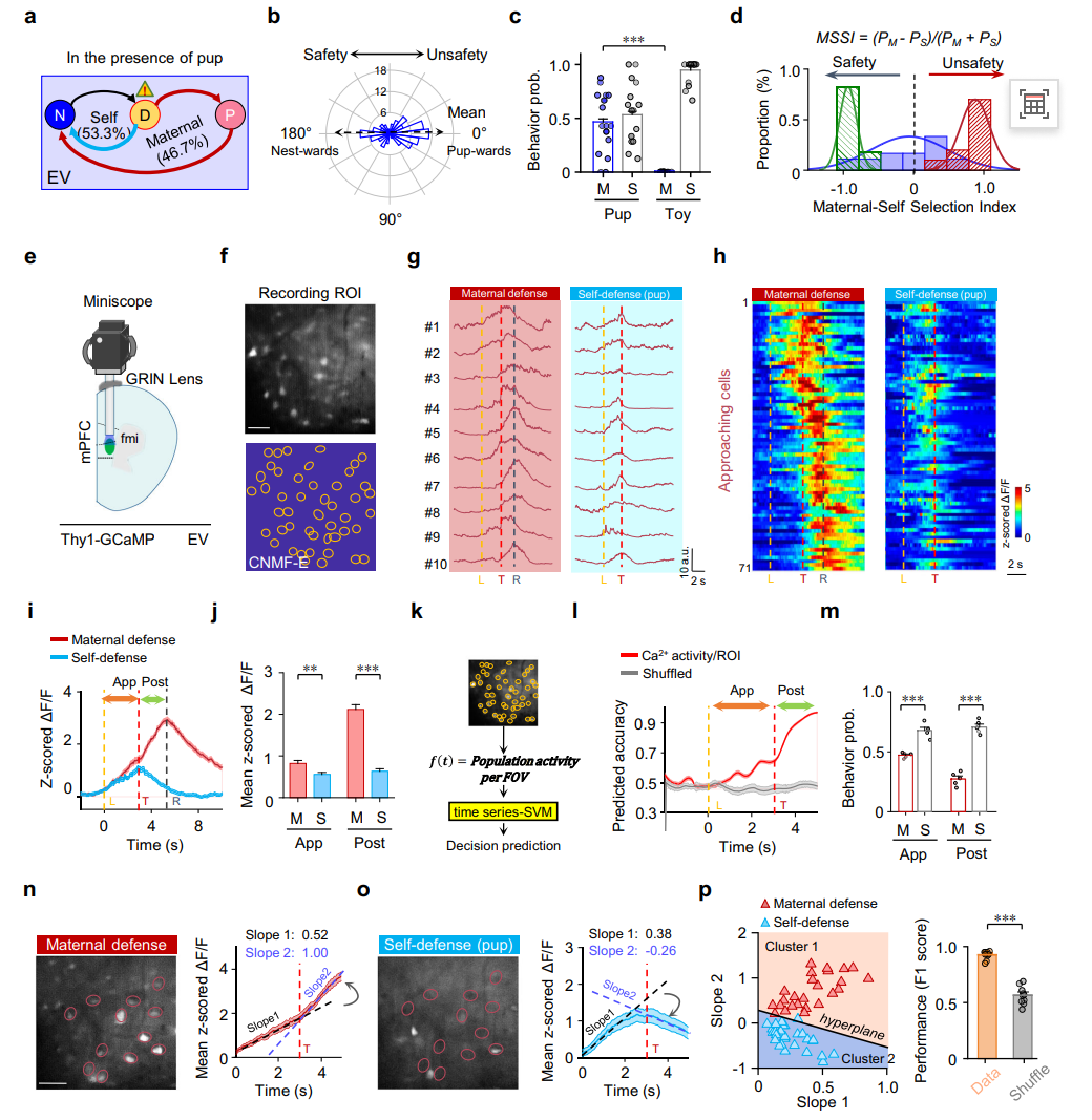 202601162105.png 图片4.png