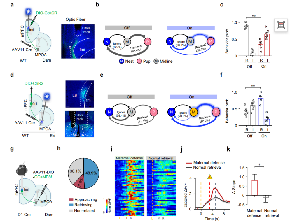 202601163636.png 图片10.png