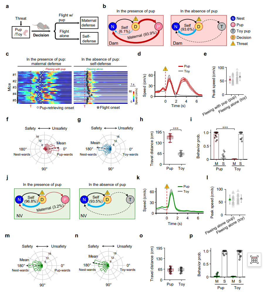 202601166382.png 图片2.png