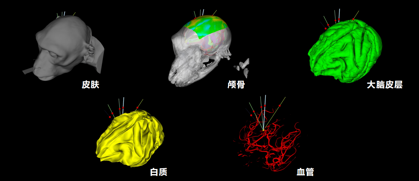 ScreenShot_2026-10-21_185236_036.png